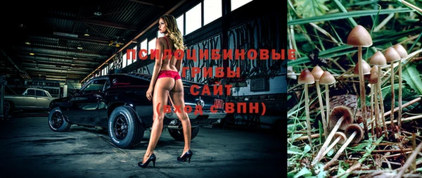 таблы Аркадак