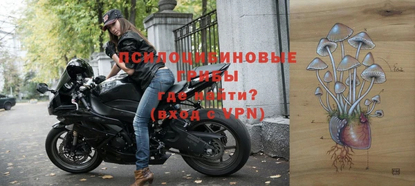 герыч Арсеньев