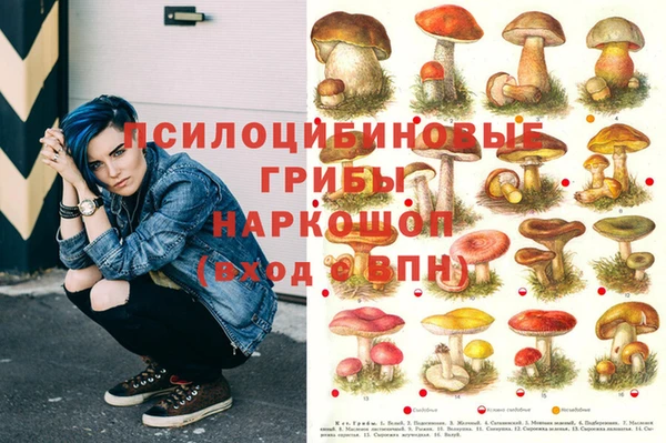герыч Арсеньев