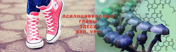 таблы Аркадак