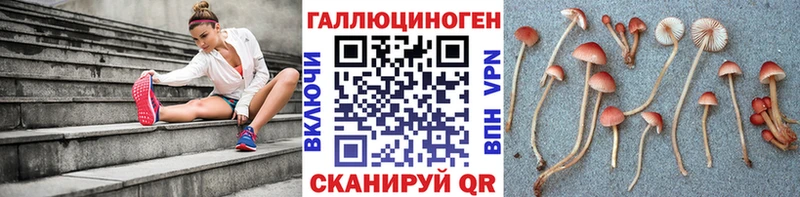 даркнет сайт Стрежевой Галлюциногенные грибы мицелий